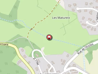 Carte de Peny Etienne à Orcines