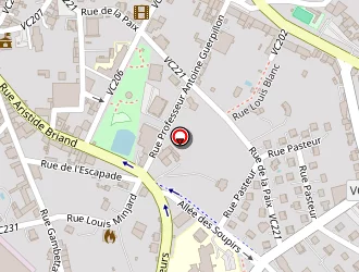 Carte de Auto Ecole Macadam à Panissières