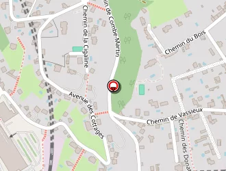 Carte de Dick Auto à Caluire-et-cuire