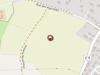 Carte de Darfeuille Alain à Isle