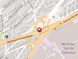 Carte de Buisson Patricia à Clermont-ferrand