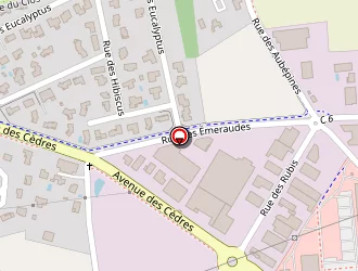 Carte de Silvestre à Villette-d'anthon