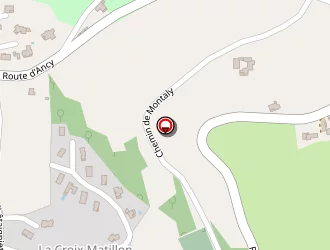 Carte de Elégance Taxi à Montrottier