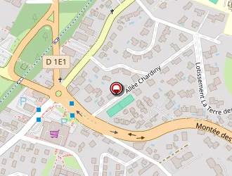 Carte de Ziani Eric à Caluire-et-cuire