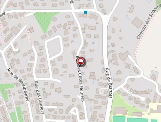 Carte de Podlyski Annick à Clermont-ferrand