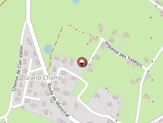 Carte de Chevalier à Panissières