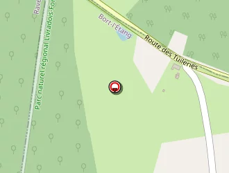 Carte de Grimaud Philippe à Bort-l'étang