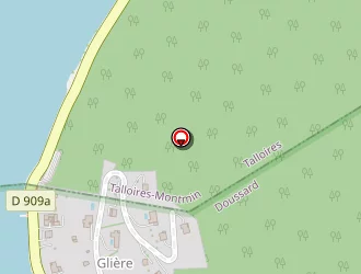 Carte de Lemler Thierry à Doussard