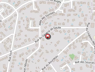 Carte de Schweitzer Patrice à Jonage