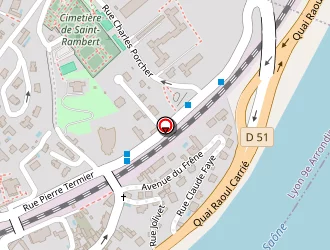 Carte de Taxi Davy Mozo à Lyon