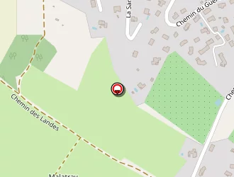 Carte de Terrassement Thierry Pitavy à Lentilly