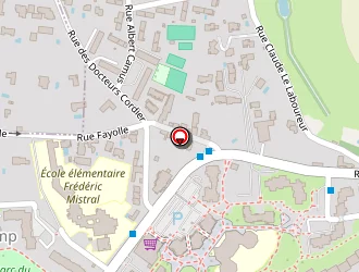 Carte de Bouille René à Lyon