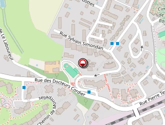 Carte de Marion Mahe à Lyon