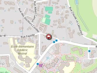 Carte de Ferret Didier à Lyon