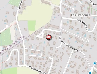 Carte de Ginies Catherine à Lyon