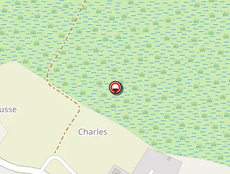 Carte de Erable Jacques à Saint-just-luzac