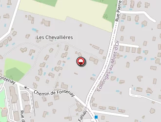 Carte de Thévenot Alain à Lyon