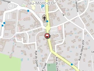 Carte de Pichon Serge à Saint-didier-au-mont-d'or