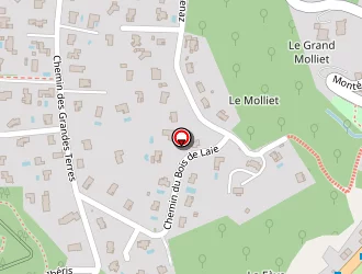 Carte de Saleur à Neyron