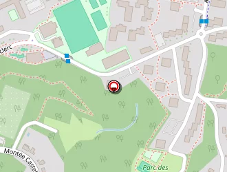 Carte de Dantoine Emmanuel à Rillieux-la-pape