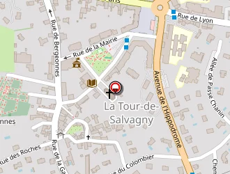 Carte de Festival Country De La Tour De Salvagny à Tour-de-salvagny (la)