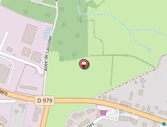 Carte de Garage Gros à Feytiat