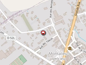 Carte de Asconelec Eib à Montalieu-vercieu