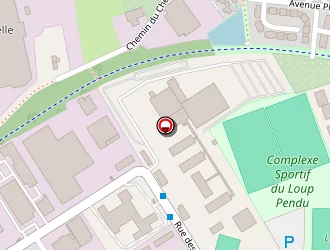 Carte de Schmidt à Rillieux-la-pape