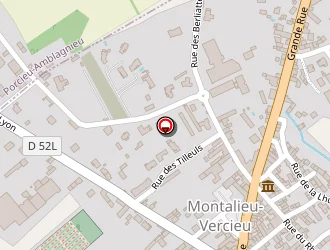 Carte de Bonnard Pierre à Montalieu-vercieu