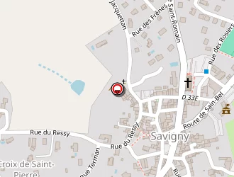 Carte de Mairie à Savigny