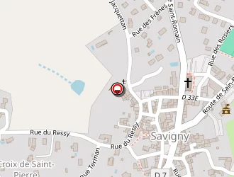 Carte de Gensanne Cédric à Savigny