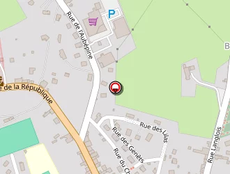 Carte de Taxi Fournial à Noirétable