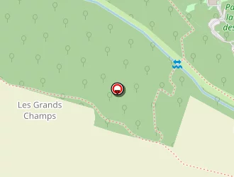 Carte de L'arbre Remarquable à Douhet (le)