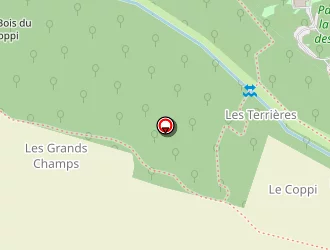 Carte de M J Publi-décor à Douhet (le)