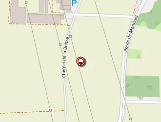 Carte de Calard Claire à Thil