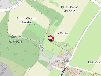 Carte de Riché Marianick à Plassay