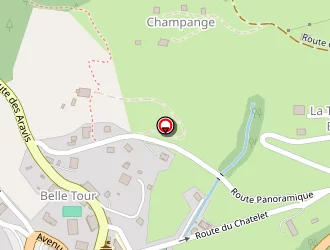 Carte de Centre Polyvalent D'action Sociale à Flumet