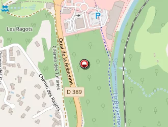 Carte de Centre Autos Services à Arbresle (l')