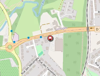 Carte de Raynaud à Limoges