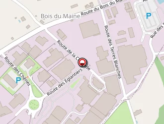 Carte de Coasse Bernard à Savigny