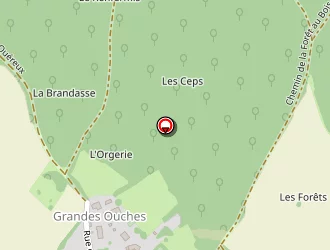 Carte de Olivier Durand à Plassay