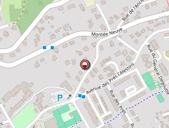 Carte de Kaddad Anthony à Miribel