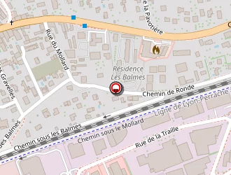 Carte de Geffray Yves à Miribel