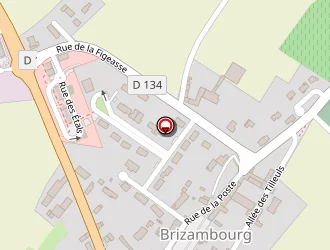 Carte de Rougier Patrick à Brizambourg