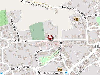 Carte de Mps (moteur Pièces Services) à Blanzat