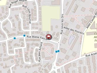 Carte de Taxi Driver à Gerzat