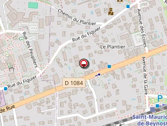 Carte de Roig Patrick à Saint-maurice-de-beynost