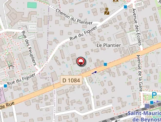 Carte de Pitakia à Saint-maurice-de-beynost