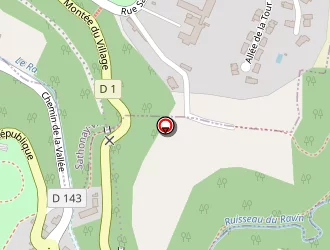 Carte de Centre Services à Sathonay-camp