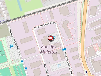 Carte de Swiss-vision à Saint-maurice-de-beynost